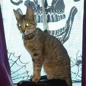 Meet your Posher, Anthony